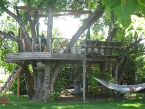 Treehouse in summer